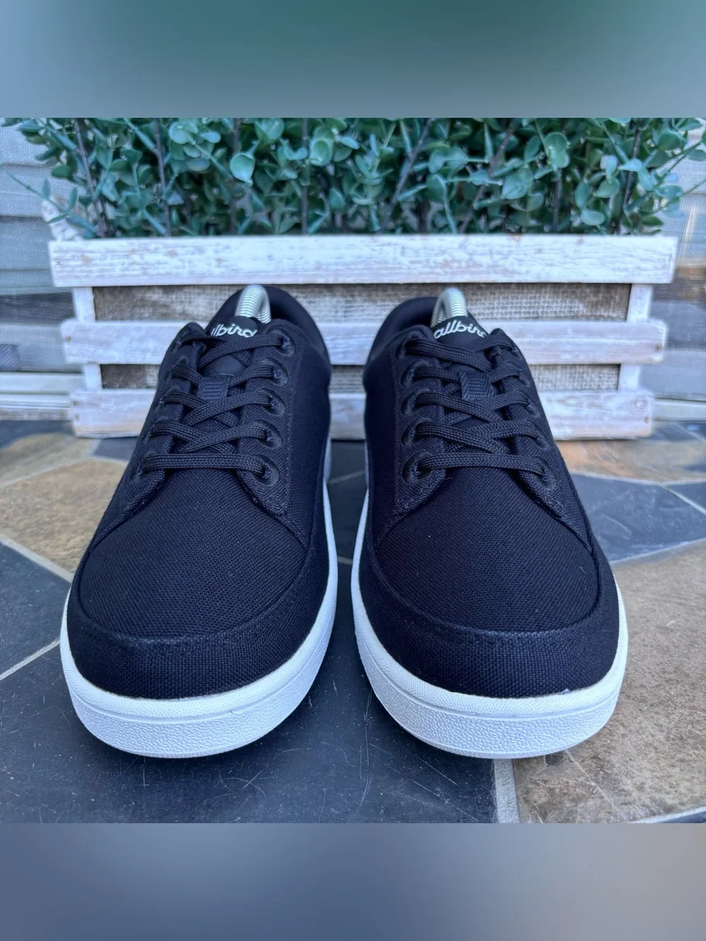 Allbirds Canvas Pacer Sneakers in Black
